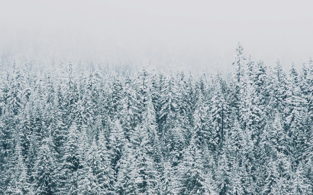 Un lugar contra el frío (A Place Against the Cold)